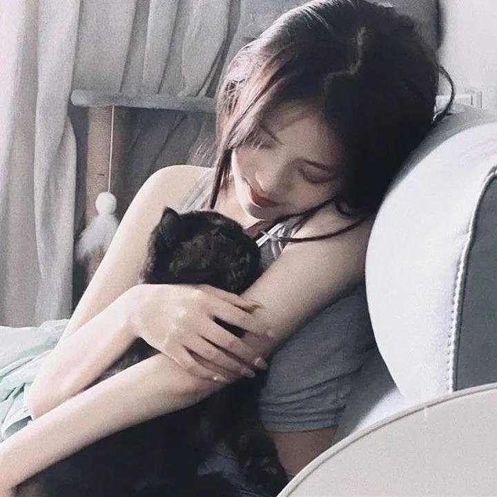 春光灿烂猪八戒2000封面